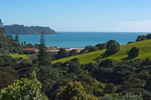 Vista 21 - view