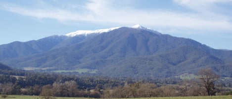 Mt Bogong