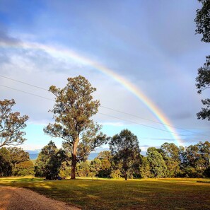 Glorious peaceful mornings