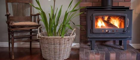 Lounge room fire place