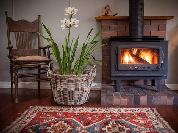 Lounge room fire place
