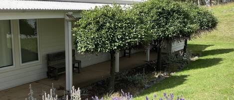 View of the Residence - Irish Willow Trees and lavender on show in summer