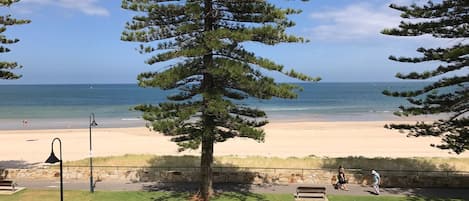 Vue sur la plage/l’océan