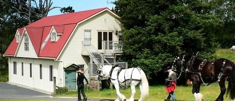 The Carriage House-Bay of Islands
A Luxury Cottage Apartment for 2-4 guests