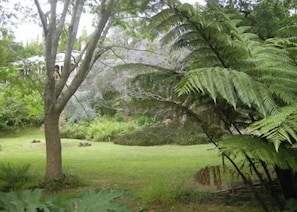 Pink Villa front lawn