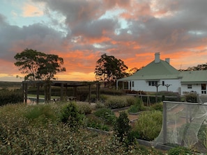 overlooking the vegetable garden 