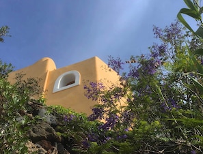 Guest house with Jacaranda flowers