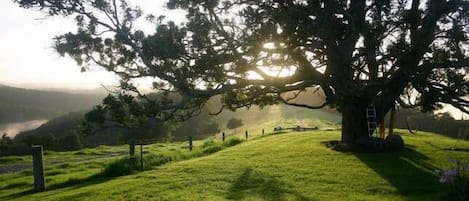 Overnatningsstedets område