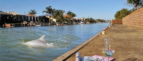 Waterfront Jetty