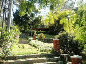 Jardim da frente e caminho