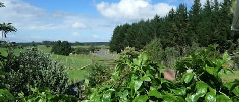 Terrain de l’hébergement 