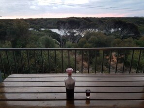 View from the front deck with a nice drop of Port.