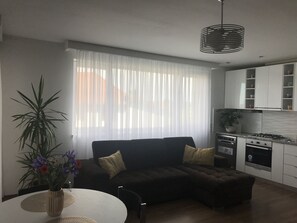 Kitchen open space with Living room and extandable sofa for sleeping