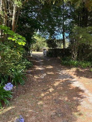 Main entrance with garden planted with tall oaks and native trees