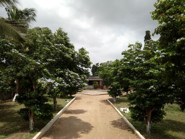 Property grounds