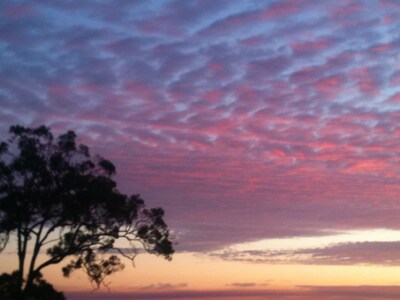 Luxury accommodation in beautiful Scott's Head. Best of beach and bush views.