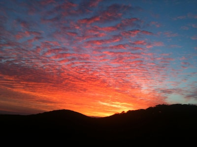 Luxury accommodation in beautiful Scott's Head. Best of beach and bush views.