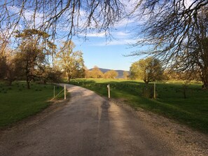 Overnatningsstedets område