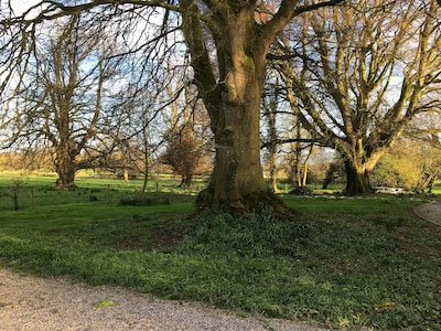 Period Georgian family home