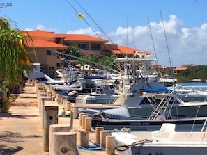 Marina