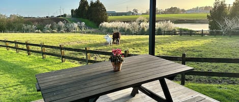 View from cabin with our goats and cow in the background