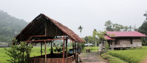 Jardines del alojamiento