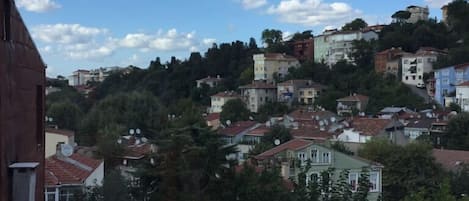 Vista dalla struttura