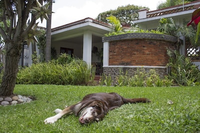 ¡Hermosos alquileres de vacaciones en Sunny Cuernavaca, México-Familia y mascotas!