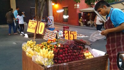 ¡Hermosos alquileres de vacaciones en Sunny Cuernavaca, México-Familia y mascotas!