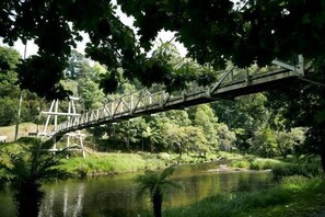 the Yarra river as it runs through town
