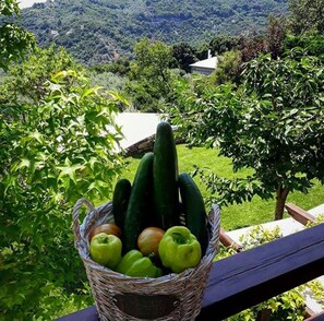 Vue depuis l’hébergement