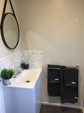 Ensuite in master bedroom 