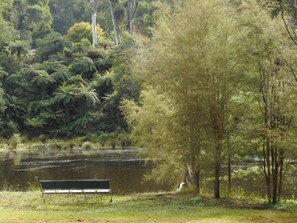 Relax or Picnic by the River