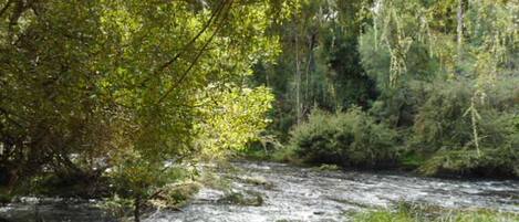 Private access to the Yarra River