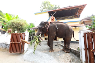 Swasthi Griha Homestay,Aranmula,Kerala,India