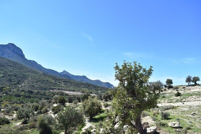 Picture of villa