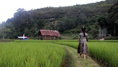 Harau Valley - Entra Lodge 