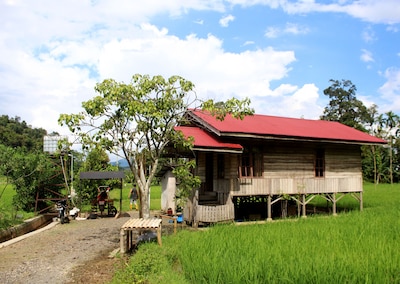 Harau Valley - Entra Lodge 