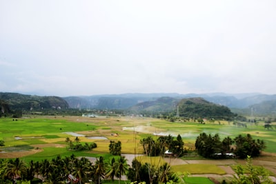 Harau Valley - Entra Lodge 