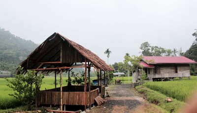 Harau Valley - Entra Lodge 