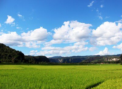 Harau Valley - Entra Lodge 