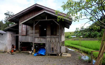 Harau Valley - Entra Lodge 