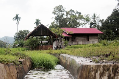 Harau Valley - Entra Lodge 