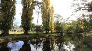 40 metres to the shady trees beside the Timbarra River.