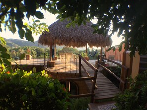 Palapa thatched rooftop