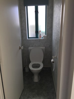 Downstairs seperate toilet