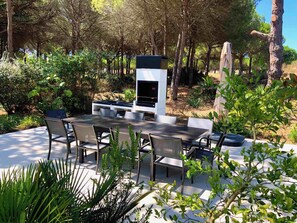 The terrace and barbecue