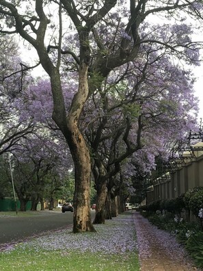 Terrenos do alojamento