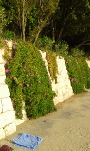 beach in front of house