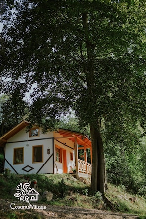 Exteriör